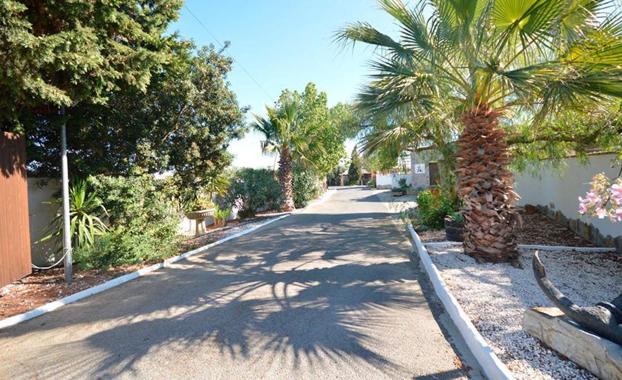 Casas Paqui Y Pablo Con Piscina Compartida En Conil Villa Conil De La Frontera Exteriör bild